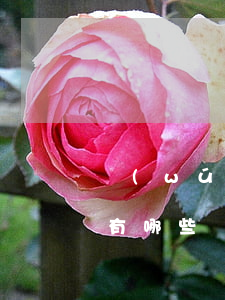 無(wú)效勞動(dòng)合同的情形有哪些？